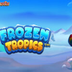 Frozen Tropics Pragmatic