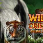 Wild Orient Games Slot Online