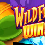 Wild Fire Wins Sensasi dan Keunikan dalam Dunia Slot Online