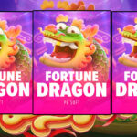 Fortune Dragon PGS