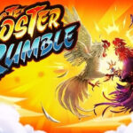 Rooster Rumble Pgsoft