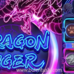 Dragon Tiger Rasakan Serunya