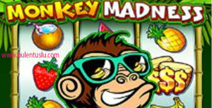 Monkey Madness Slot Bocoran